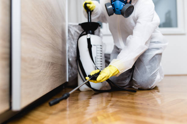 Wildlife Control Services in Tampa, FL