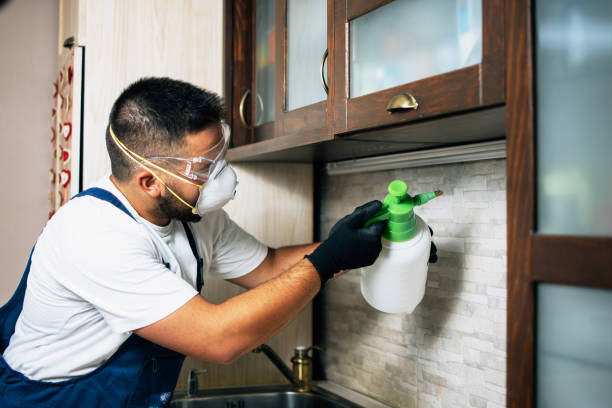 Insect Control in Tampa, FL