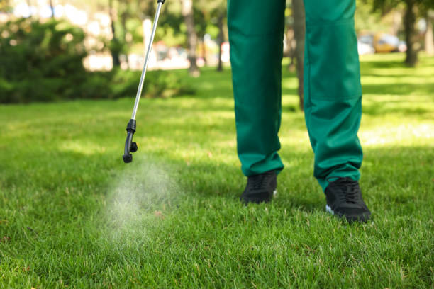 Best Best Pest Control Companies  in Tampa, FL