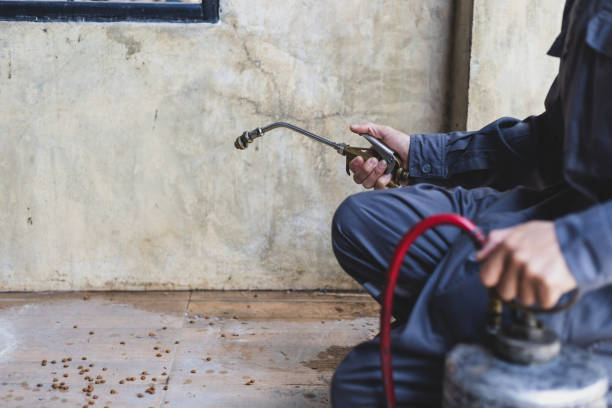 Best Termite Control Services  in Tampa, FL